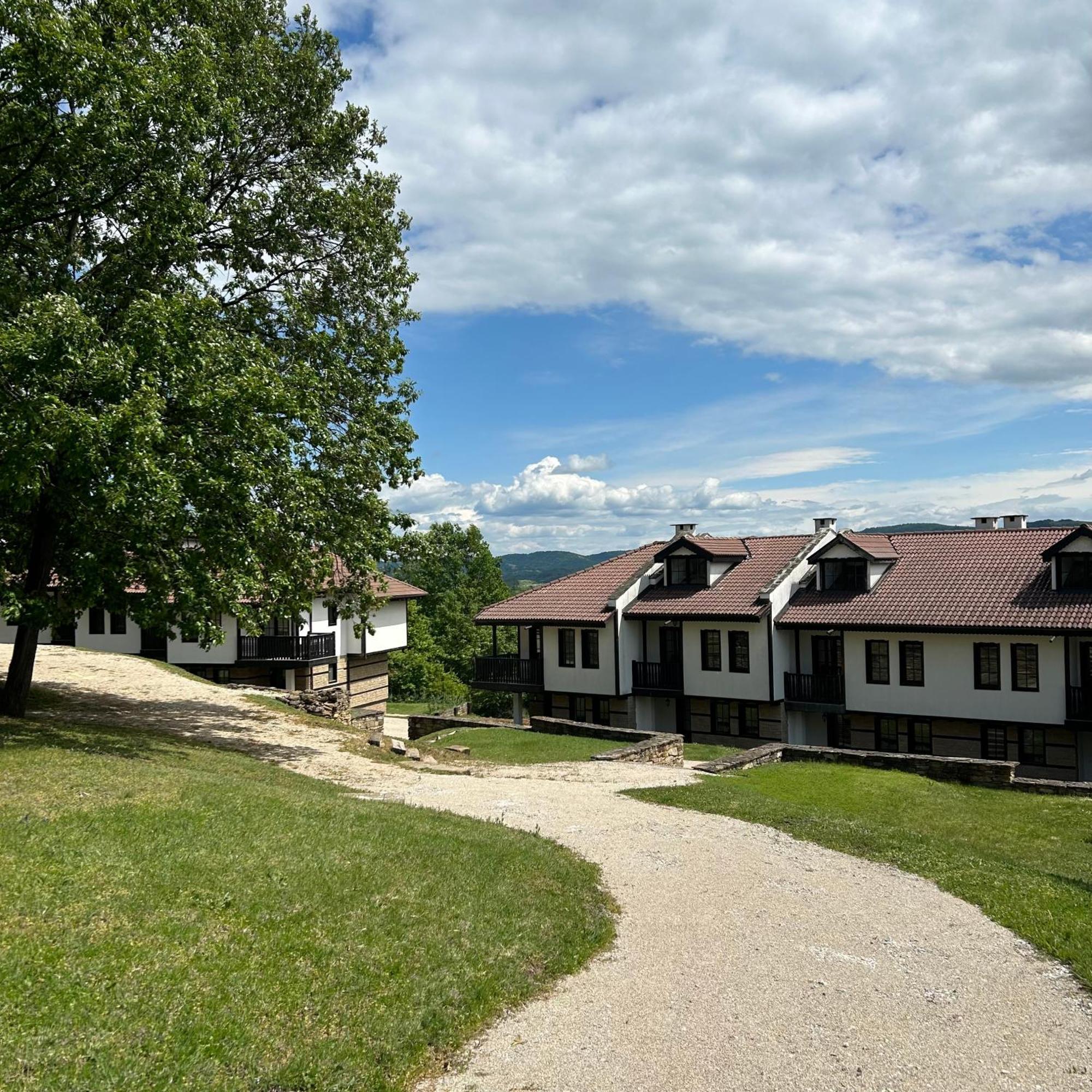 Геша Форест Drjanovo Esterno foto